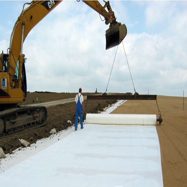 Geotextiles for Reservoir Seepage Control