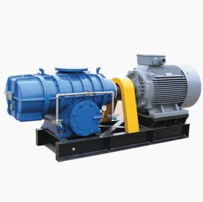 Roots Blower
